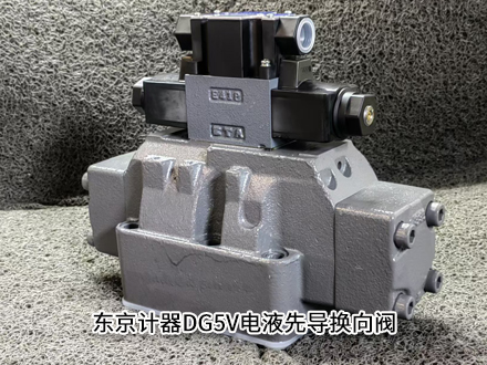 成人电影在线观看视频 东京计器DG5V-H8-2C-T-P2-T-86-JA