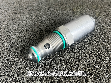 成人黄色电影免费观看 贺德克DB12120A-010-250V
